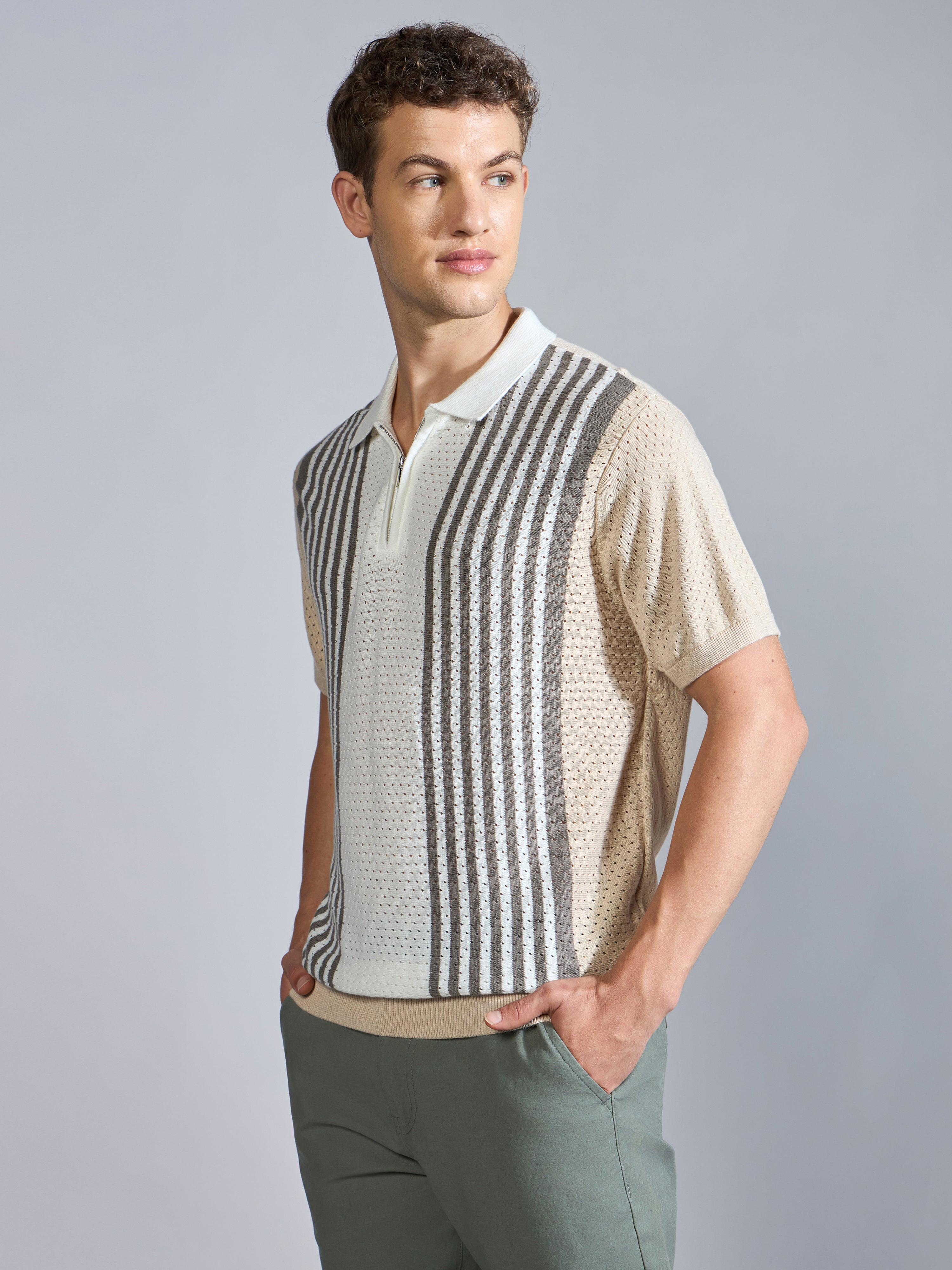 Men's Regular Fit Half Zip Stripe Knit Polo T-Shirt in Beige