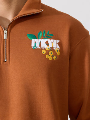 Men's rust brown Adventure Graphic Half-Zip Sweatshirt
