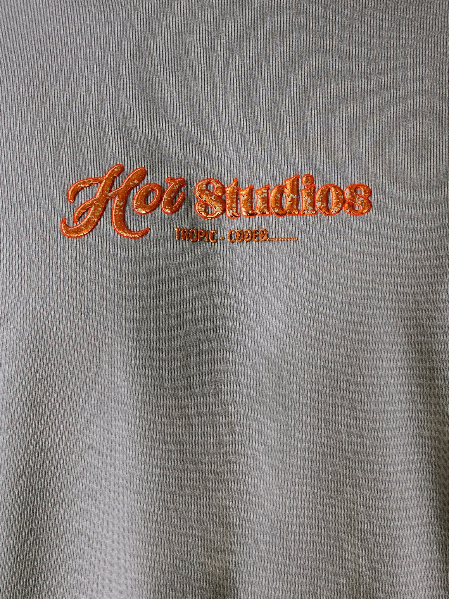 Loveex - Hot Studios Graphic Grey T-Shirt - Espanshe