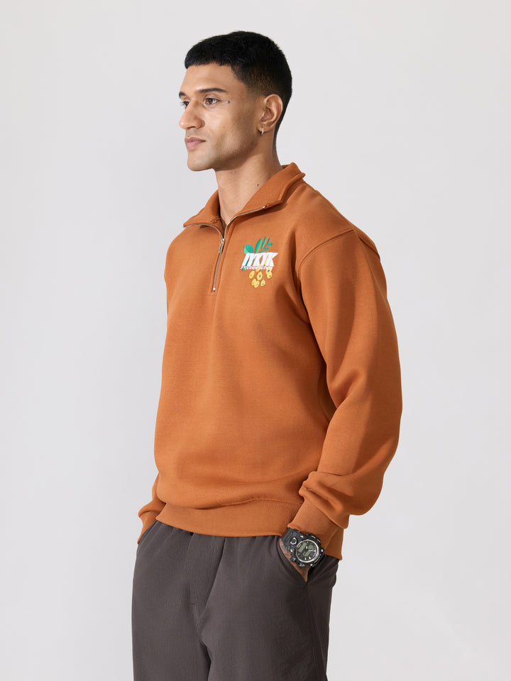 Men's rust brown Adventure Graphic Half-Zip Sweatshirt