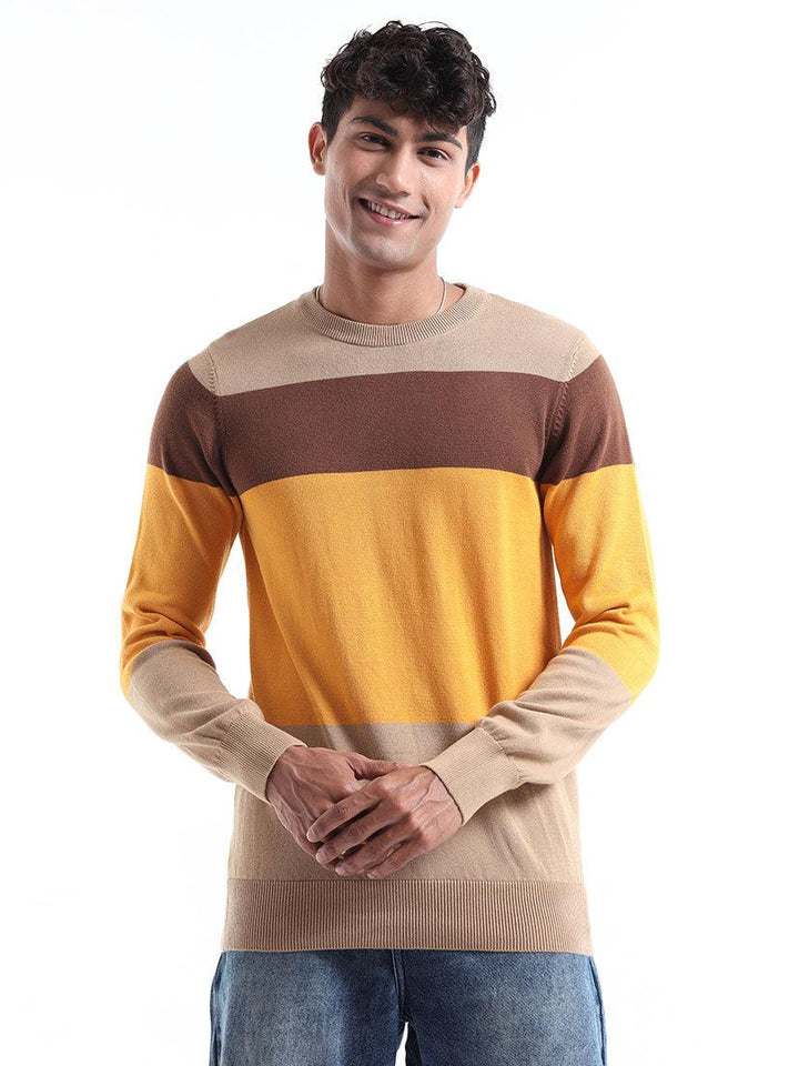 Men's Multicolor Striped Sweater