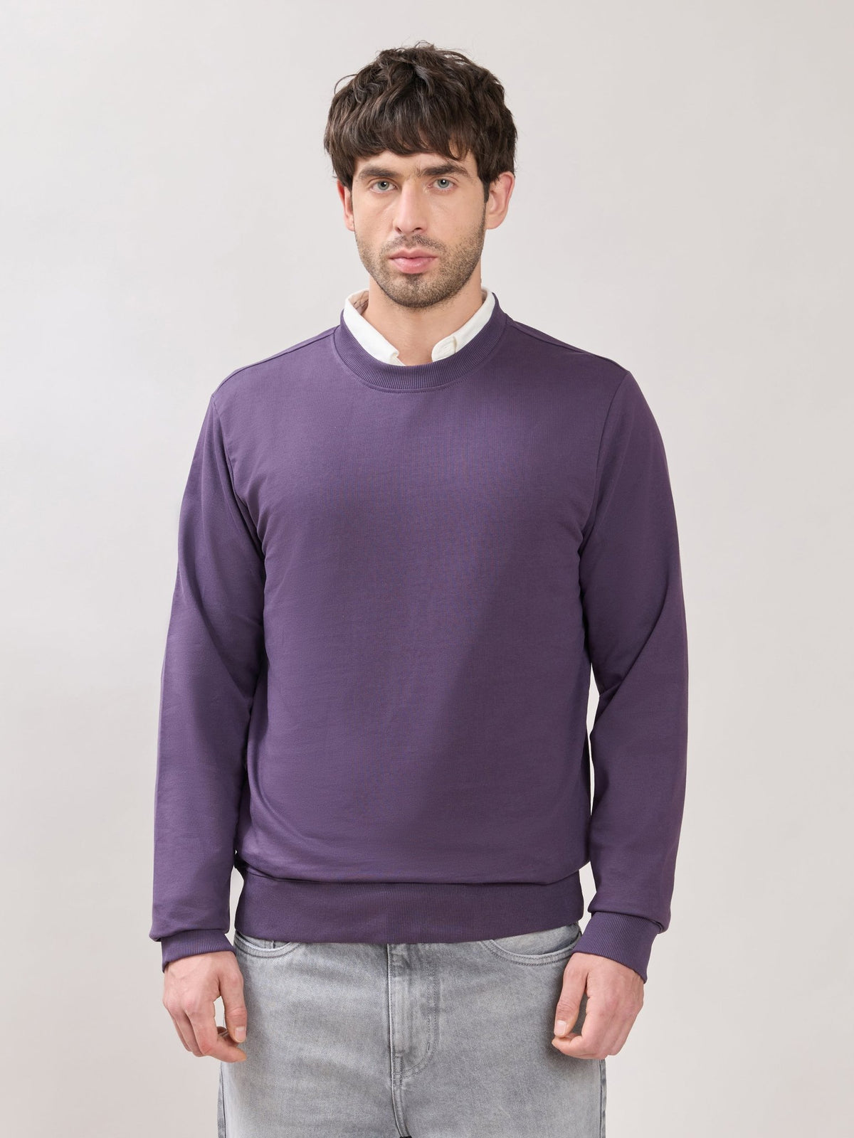 Stanwick - Slim Fit Purple Crew Neck Sweater - Espanshe