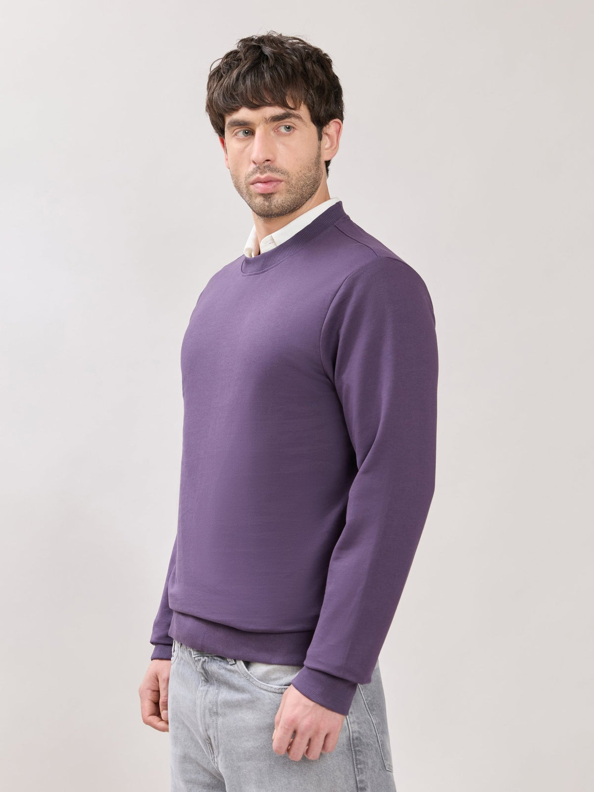 Stanwick - Slim Fit Purple Crew Neck Sweater - Espanshe