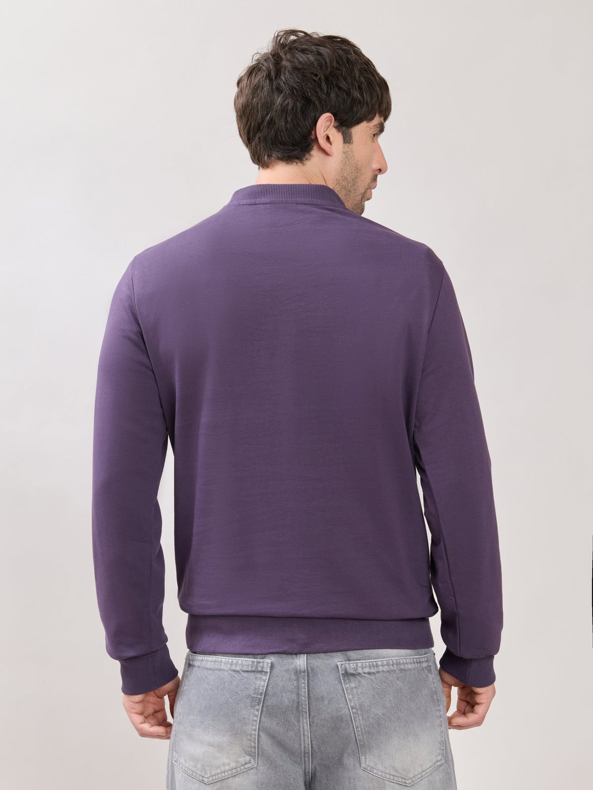 Stanwick - Slim Fit Purple Crew Neck Sweater - Espanshe