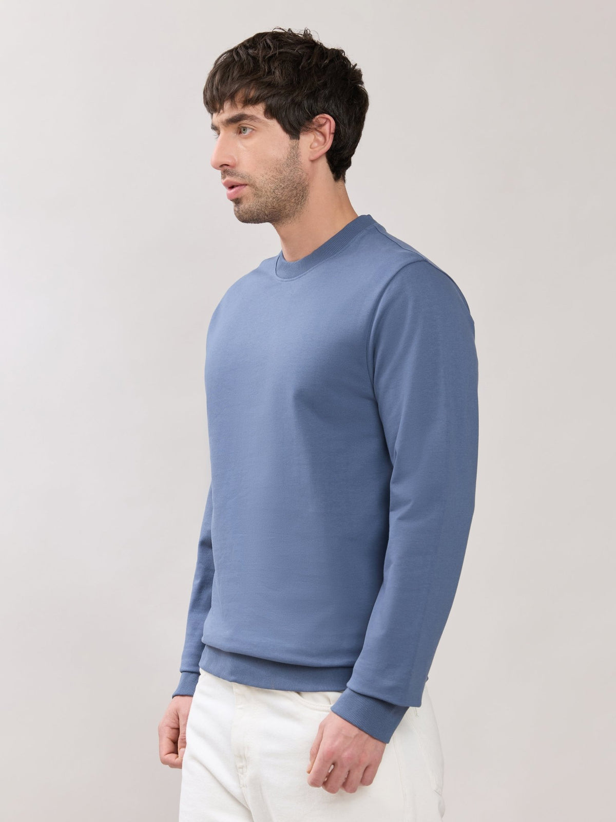 Stanwick - Slim Fit Blue Crew Neck Sweater - Espanshe